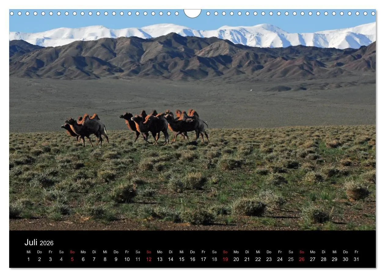 Bild: 9783516146837 | Einsame Mongolei (Wandkalender 2026 DIN A3 quer), CALVENDO...