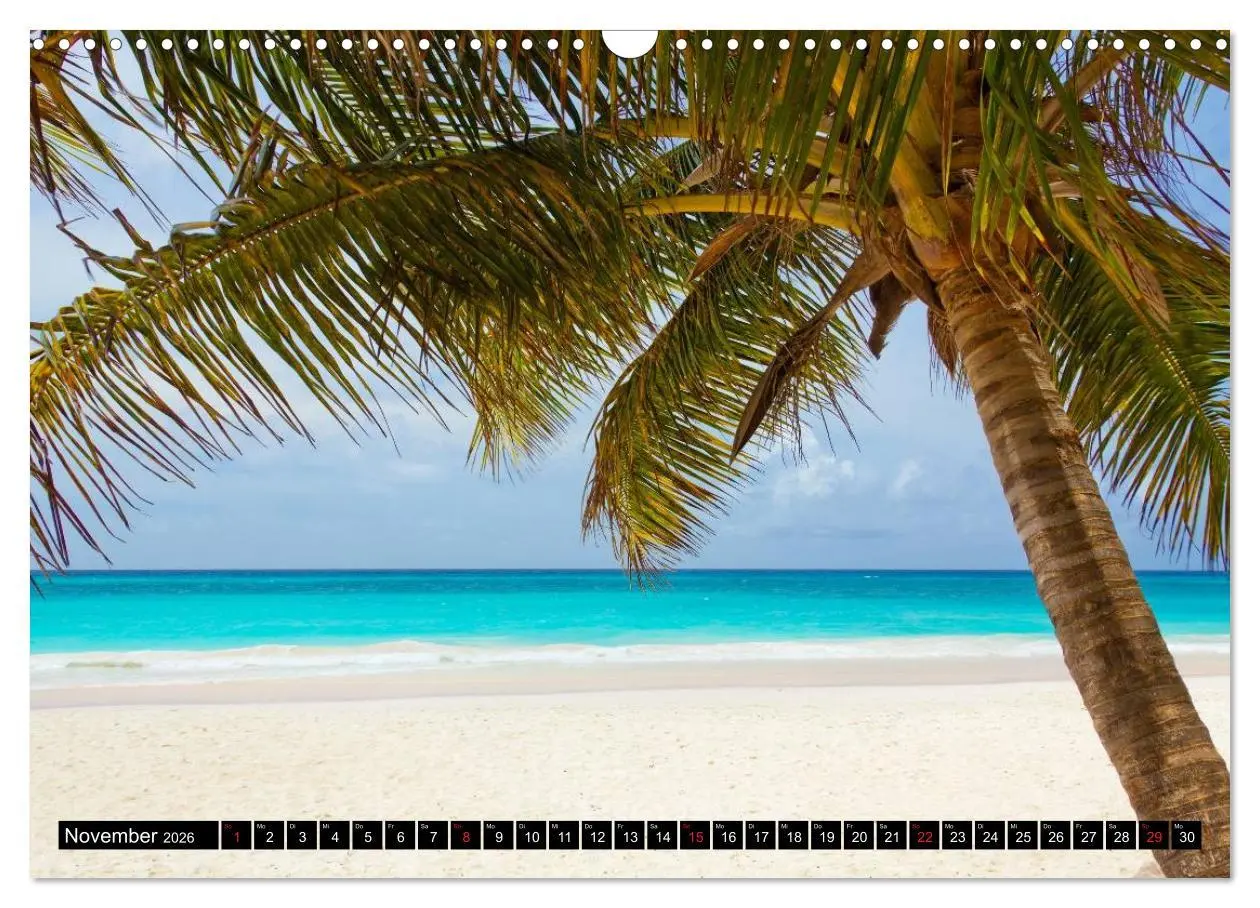 Bild: 9783516216837 | Brasilien. Sonne, Natur und Samba (Wandkalender 2026 DIN A3 quer),...