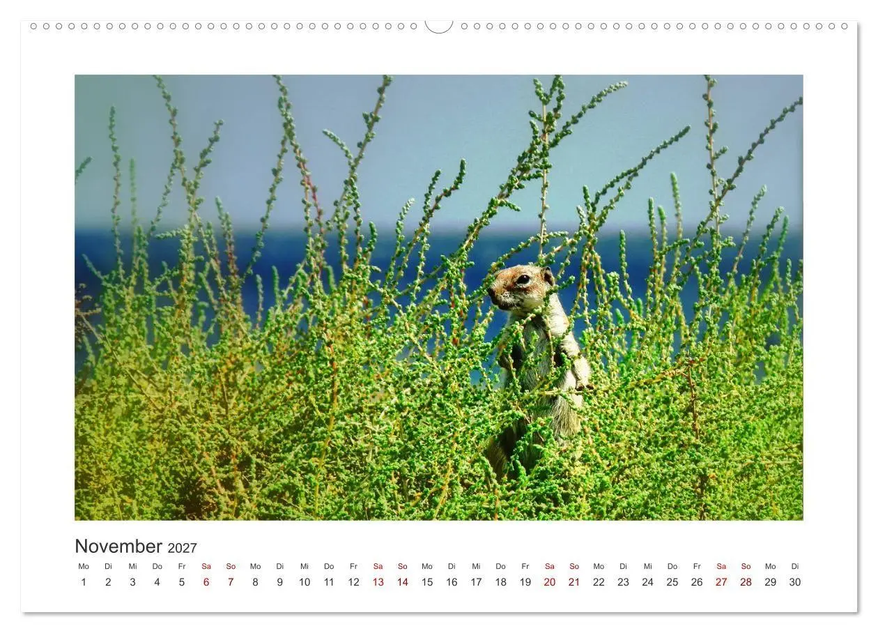 Bild: 9783569846937 | Fuerteventura - Bildschön (Wandkalender 2027 DIN A2 quer), CALVENDO...