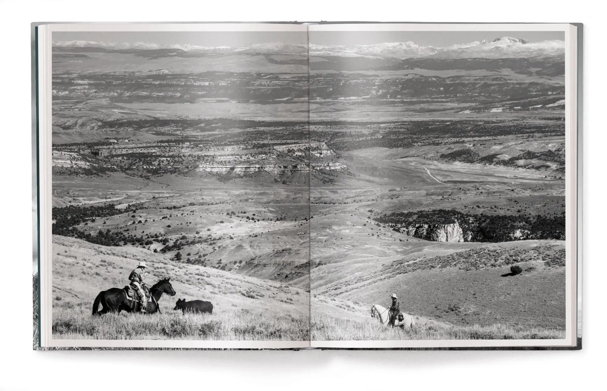 Bild: 9783961716937 | A Ranch Year | Cowboys of the West | Isabelle Arnon | Buch | 208 S.