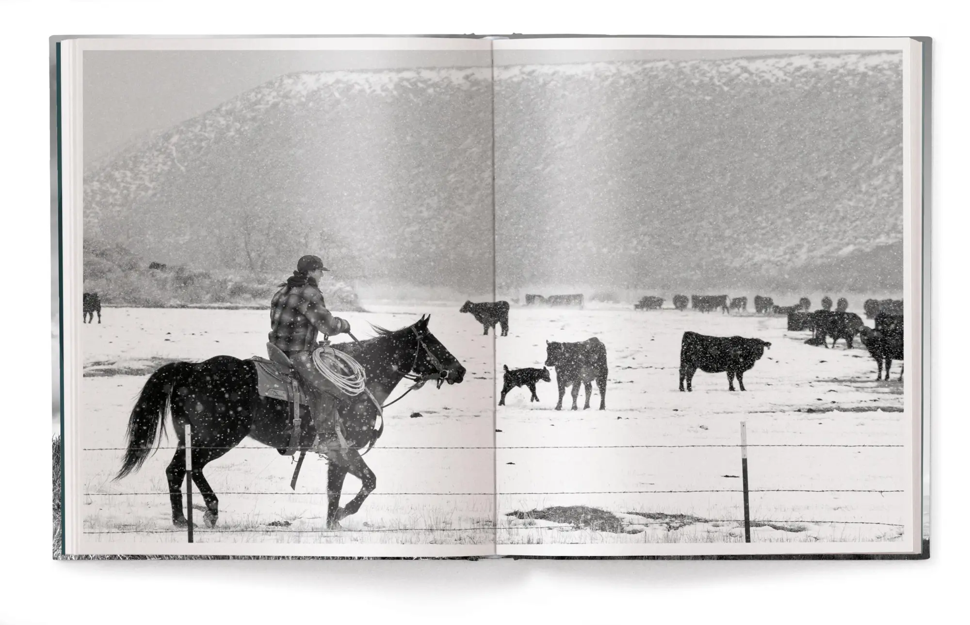 Bild: 9783961716937 | A Ranch Year | Cowboys of the West | Isabelle Arnon | Buch | 208 S.