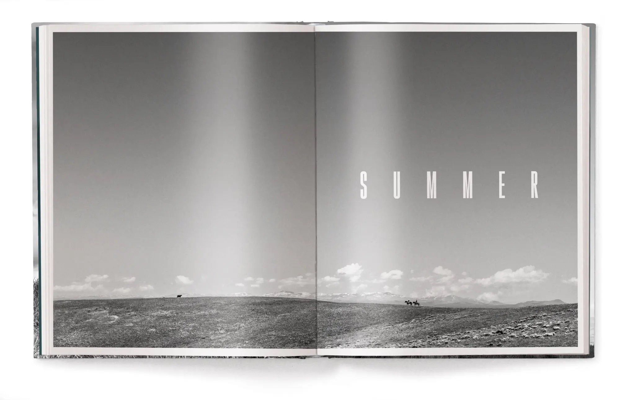 Bild: 9783961716937 | A Ranch Year | Cowboys of the West | Isabelle Arnon | Buch | 208 S.