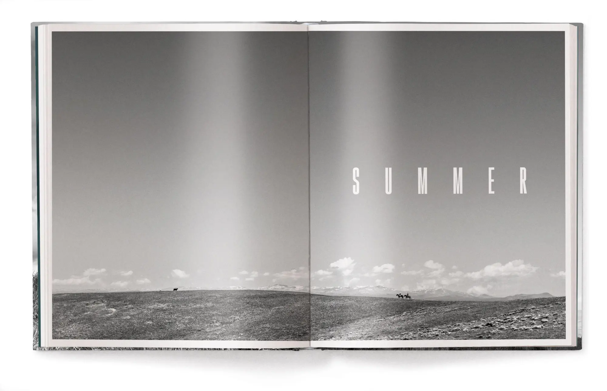 Bild: 9783961716937 | A Ranch Year | Cowboys of the West | Isabelle Arnon | Buch | 208 S.