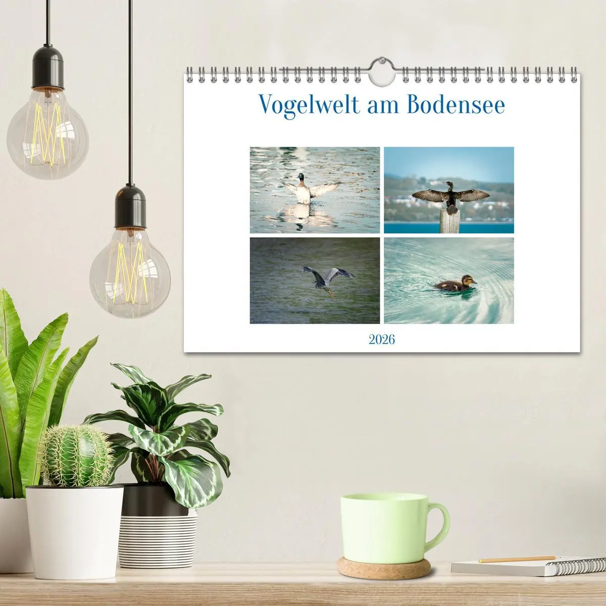 Bild: 9783457547137 | Vogelwelt am Bodensee 2026 (Wandkalender 2026 DIN A4 quer),...