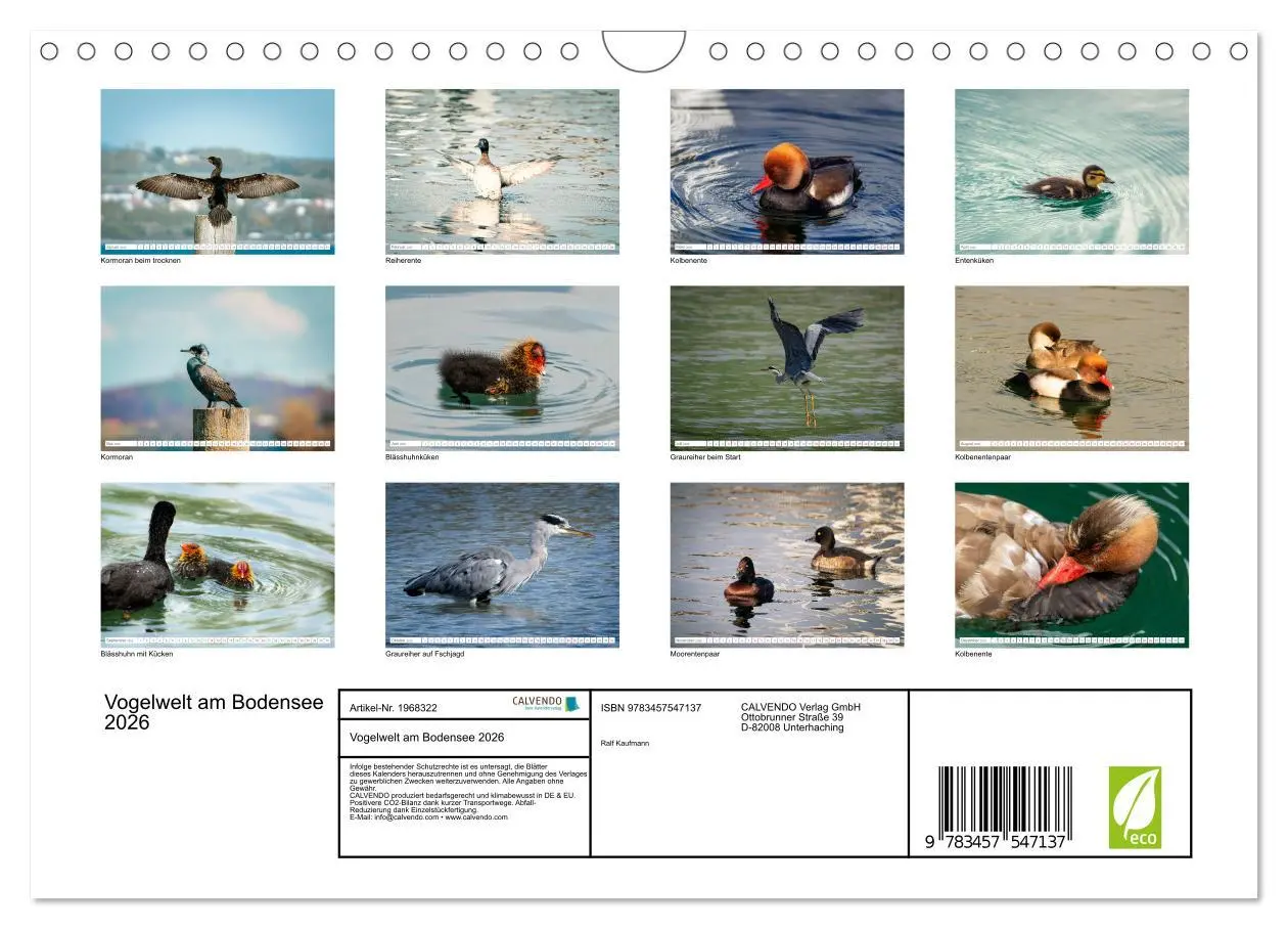 Bild: 9783457547137 | Vogelwelt am Bodensee 2026 (Wandkalender 2026 DIN A4 quer),...