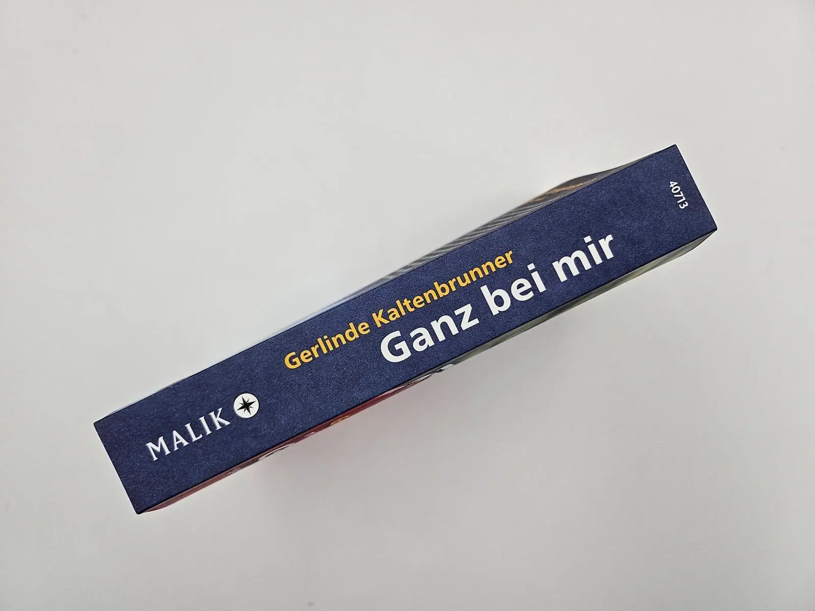 Bild: 9783492407137 | Ganz bei mir | Gerlinde Kaltenbrunner | Taschenbuch | 384 S. | Deutsch