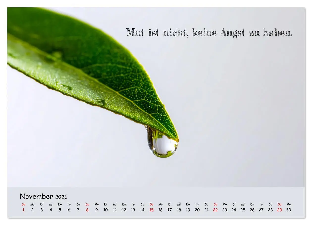Bild: 9783516637137 | Krebs ist ein Vollidiot - Kalender für alle Kämpfer mit...