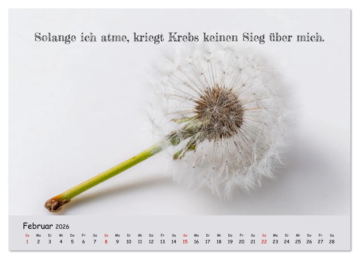 Bild: 9783516637137 | Krebs ist ein Vollidiot - Kalender für alle Kämpfer mit...