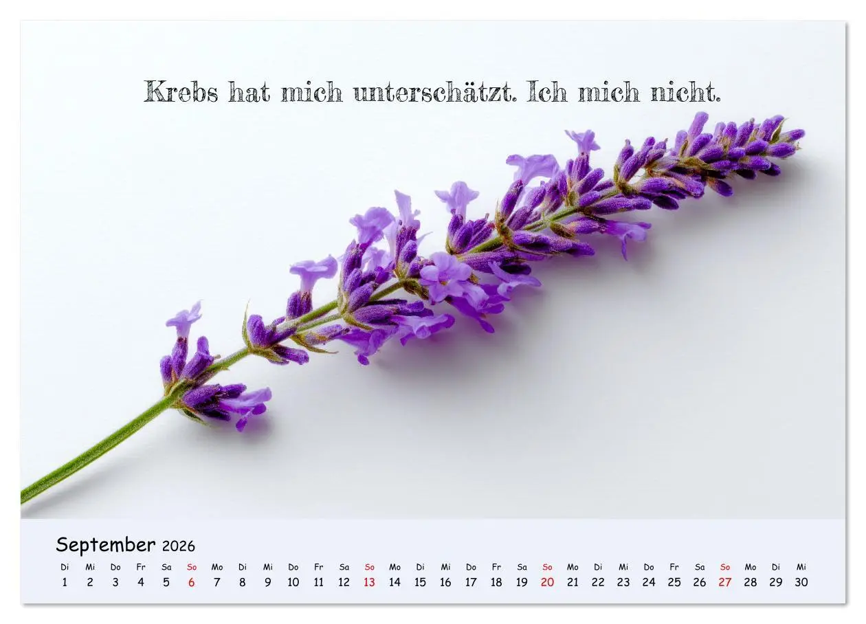 Bild: 9783516637137 | Krebs ist ein Vollidiot - Kalender für alle Kämpfer mit...