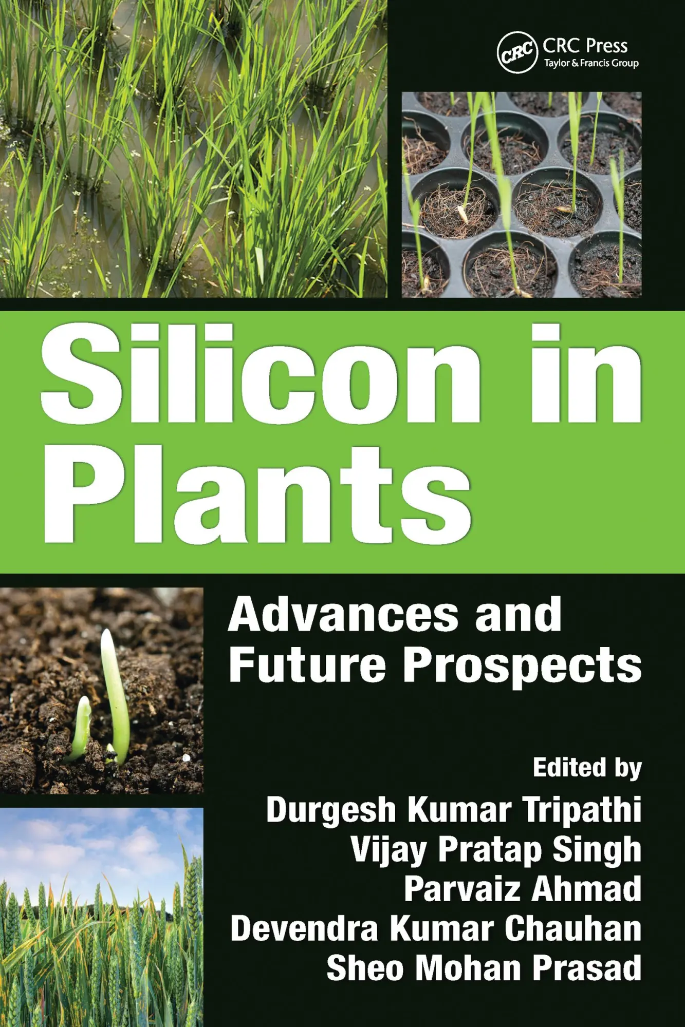Cover: 9781032097237 | Silicon in Plants | Advances and Future Prospects | Chauhan (u. a.)