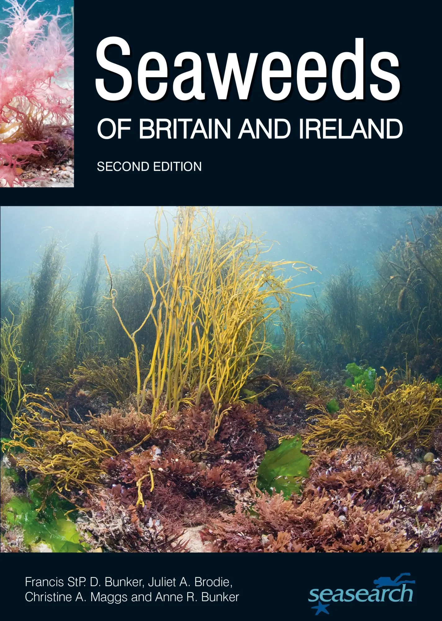 Cover: 9780995567337 | Seaweeds of Britain and Ireland | Francis Bunker (u. a.) | Taschenbuch