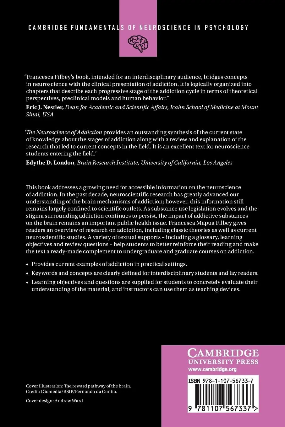 Rückseite: 9781107567337 | The Neuroscience of Addiction | Francesca Mapua Filbey | Taschenbuch