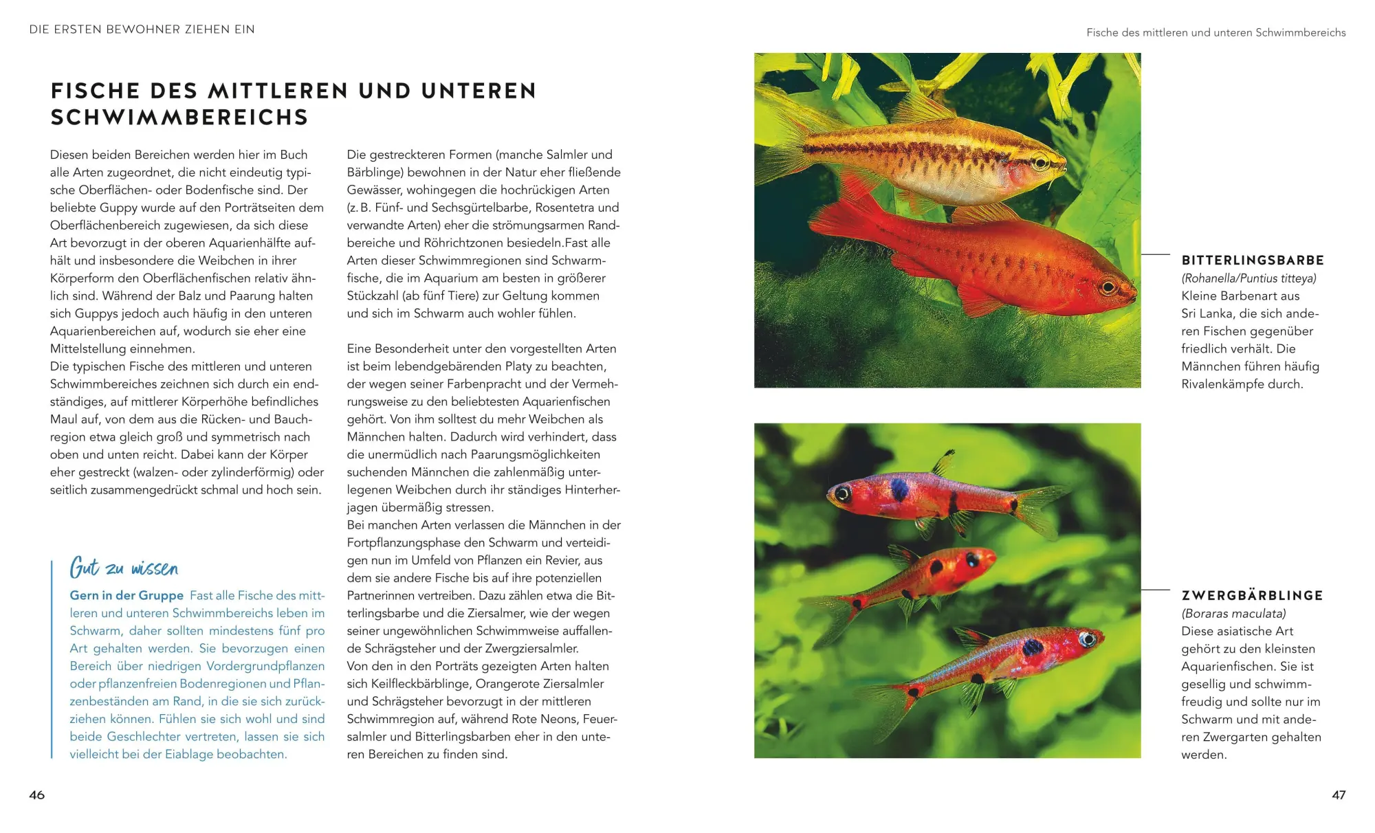 Bild: 9783833897337 | Aquarien - Spaß für Kinder | Spannende Unterwasserwelt entdecken