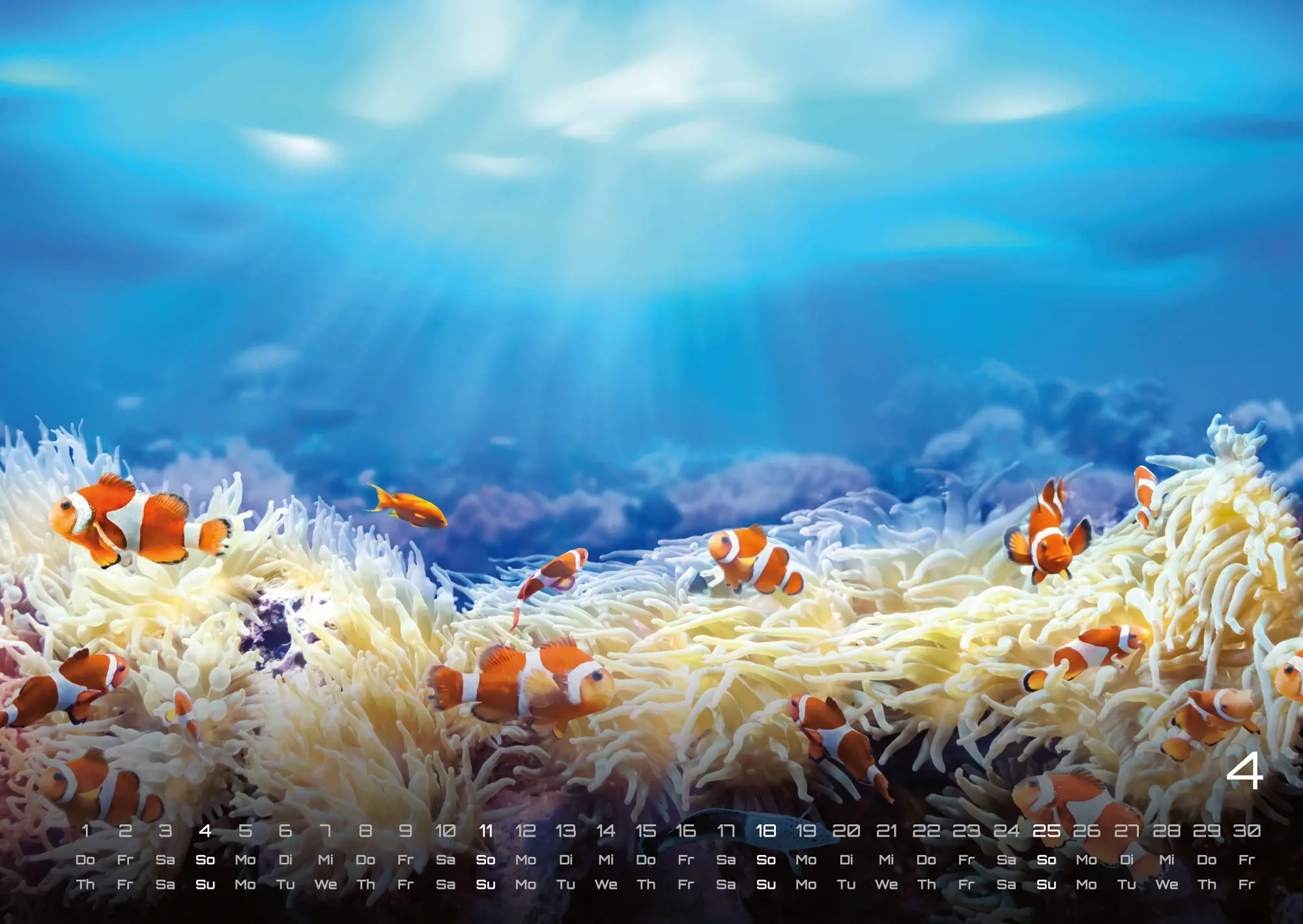 Bild: 9783986737337 | Meer - Im Rhythmus der Gezeiten! - 2027 - Kalender DIN A2 | de | 15 S.