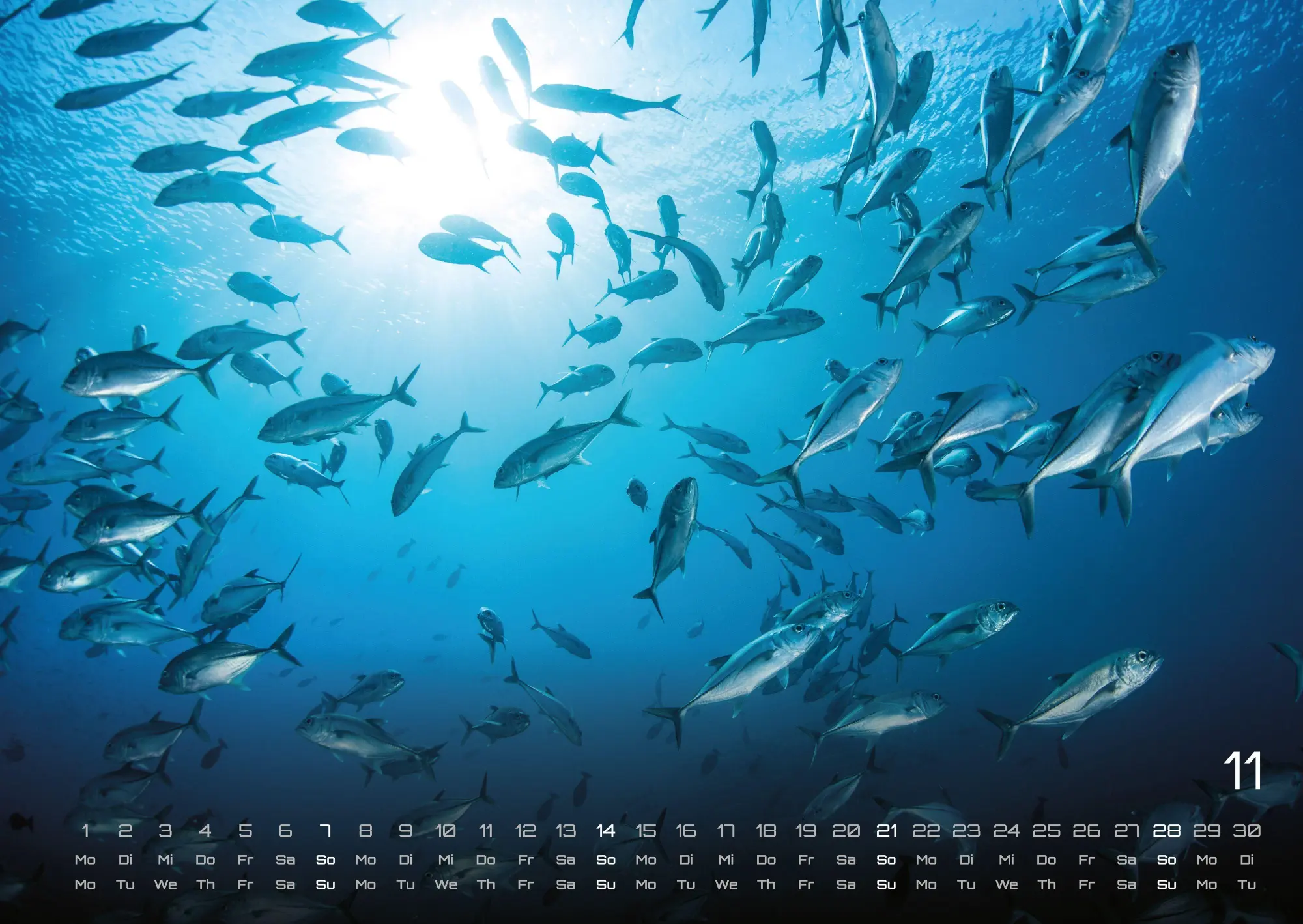 Bild: 9783986737337 | Meer - Im Rhythmus der Gezeiten! - 2027 - Kalender DIN A2 | de | 15 S.