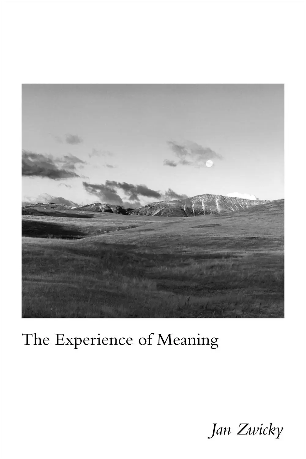 Cover: 9780773557437 | Experience of Meaning | Jan Zwicky | Taschenbuch | Englisch | 2019