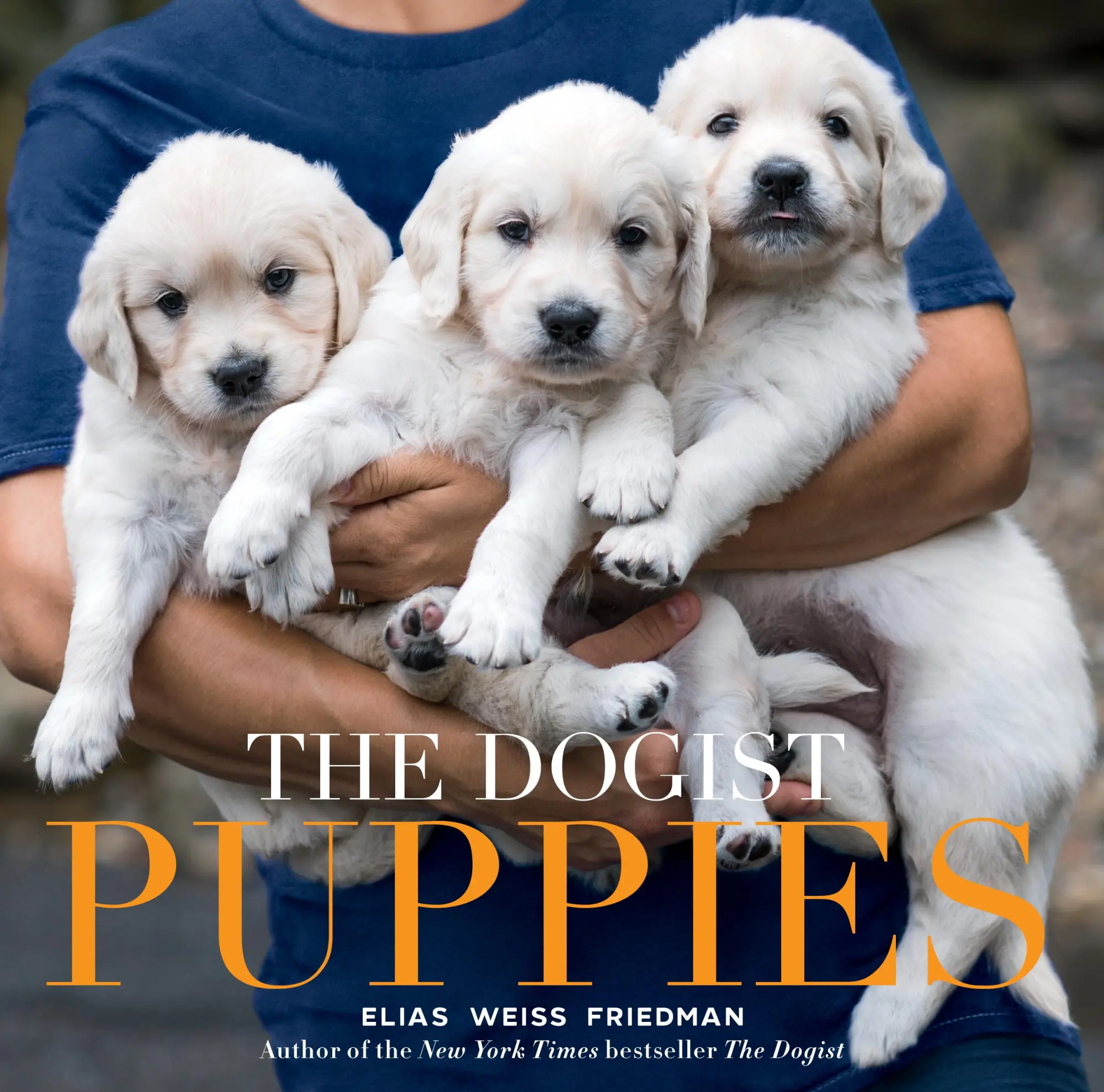 Cover: 9781579657437 | The Dogist Puppies | Elias Weiss Friedman | Buch | Englisch | 2017