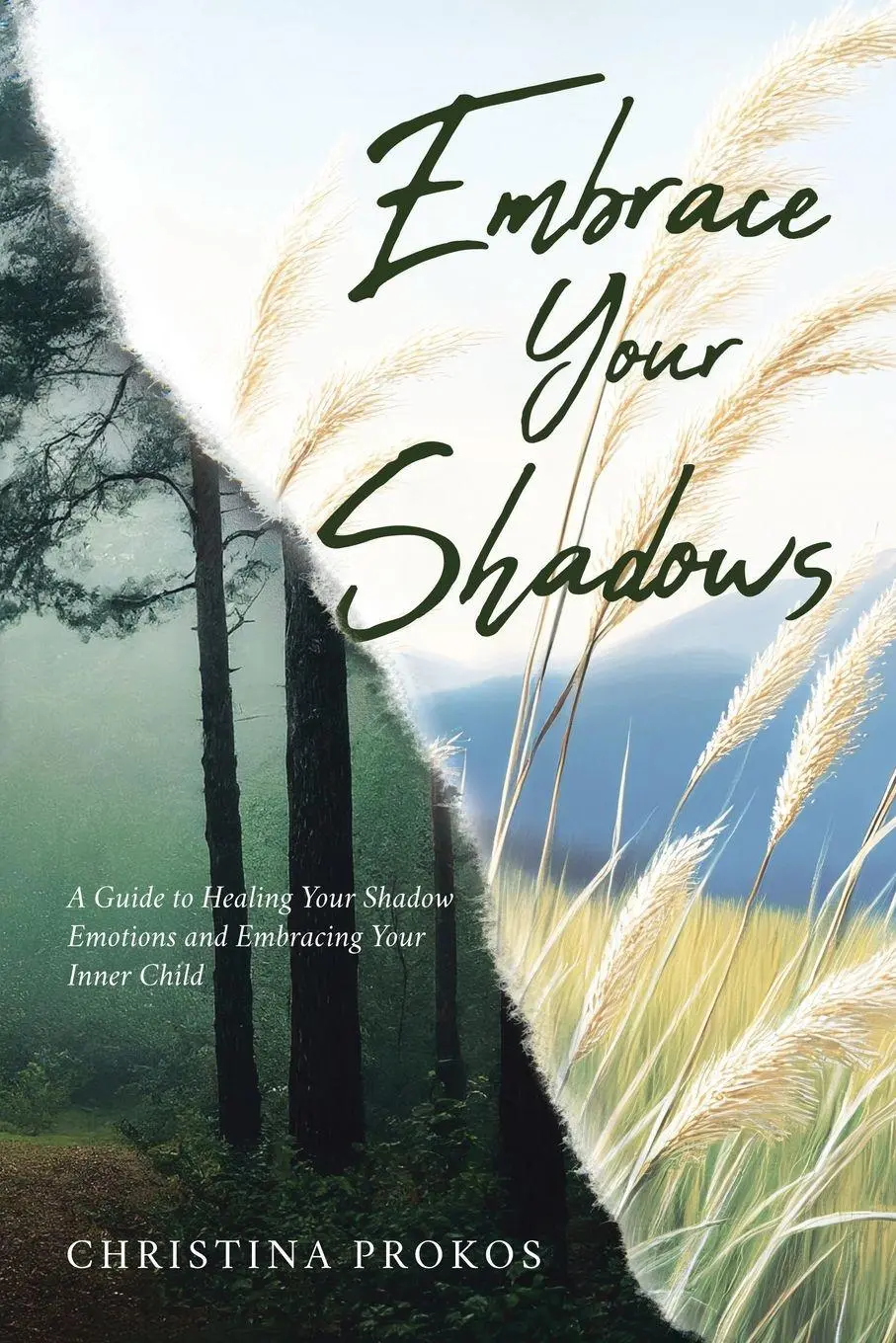 Cover: 9781779627537 | Embrace Your Shadows | Christina Prokos | Taschenbuch | Englisch