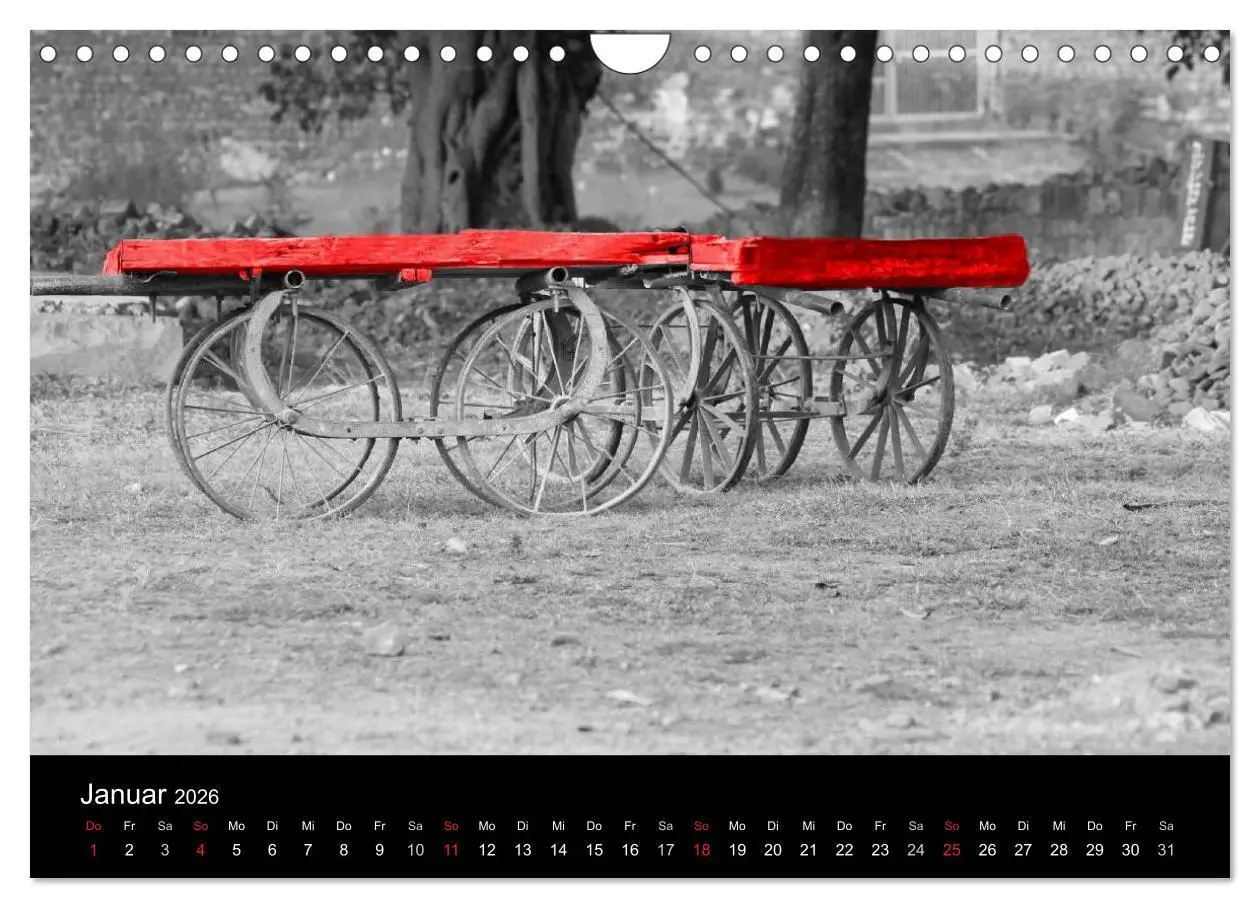 Bild: 9783516217537 | Blickfang in Rot (Wandkalender 2026 DIN A4 quer), CALVENDO...