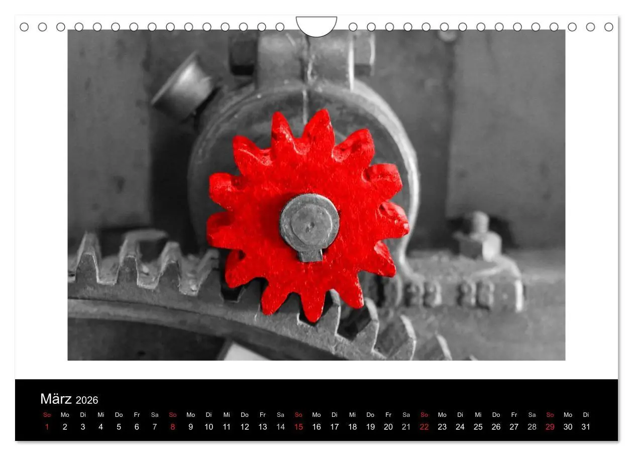 Bild: 9783516217537 | Blickfang in Rot (Wandkalender 2026 DIN A4 quer), CALVENDO...