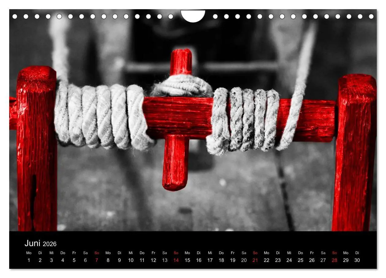 Bild: 9783516217537 | Blickfang in Rot (Wandkalender 2026 DIN A4 quer), CALVENDO...