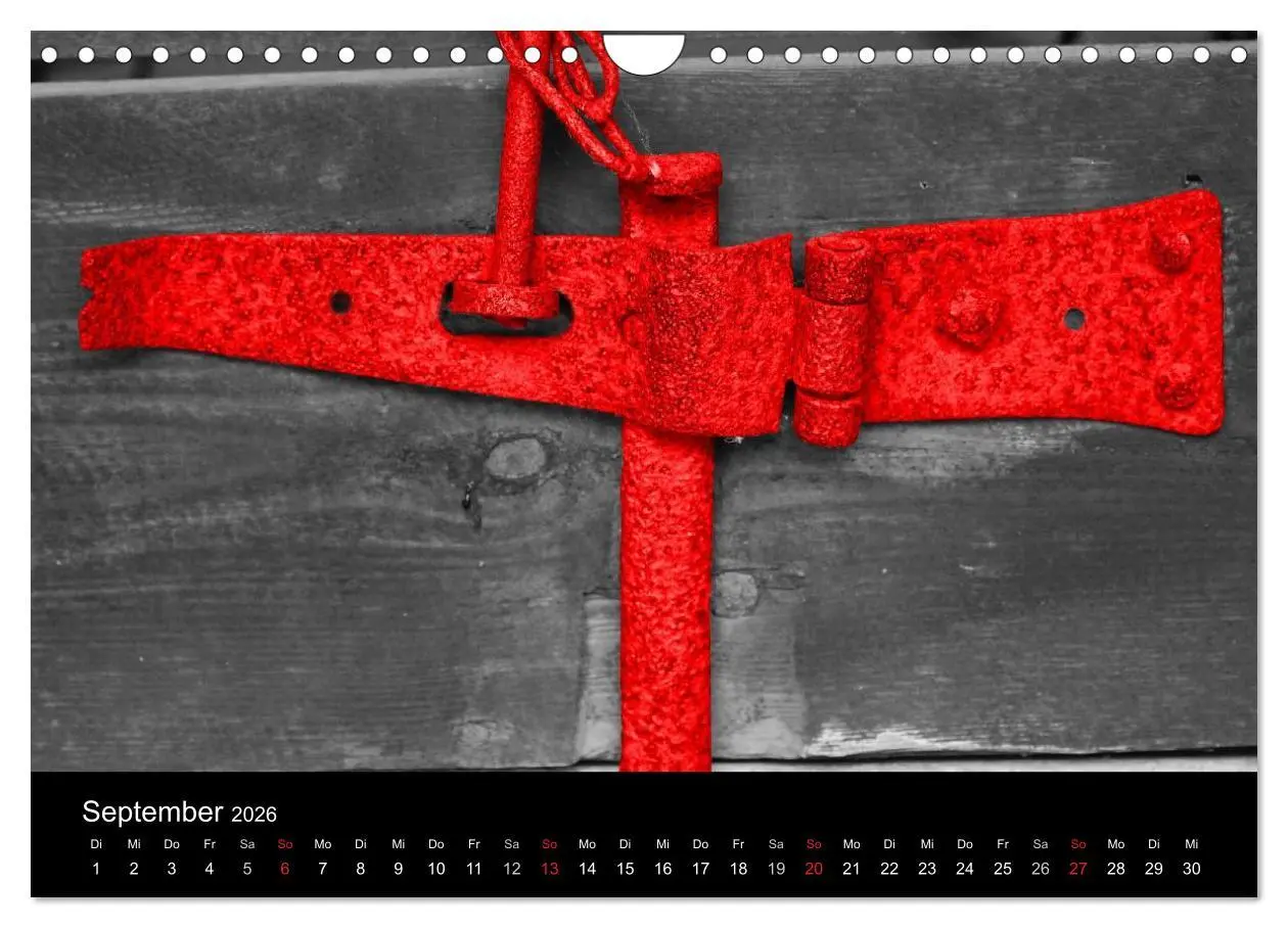 Bild: 9783516217537 | Blickfang in Rot (Wandkalender 2026 DIN A4 quer), CALVENDO...