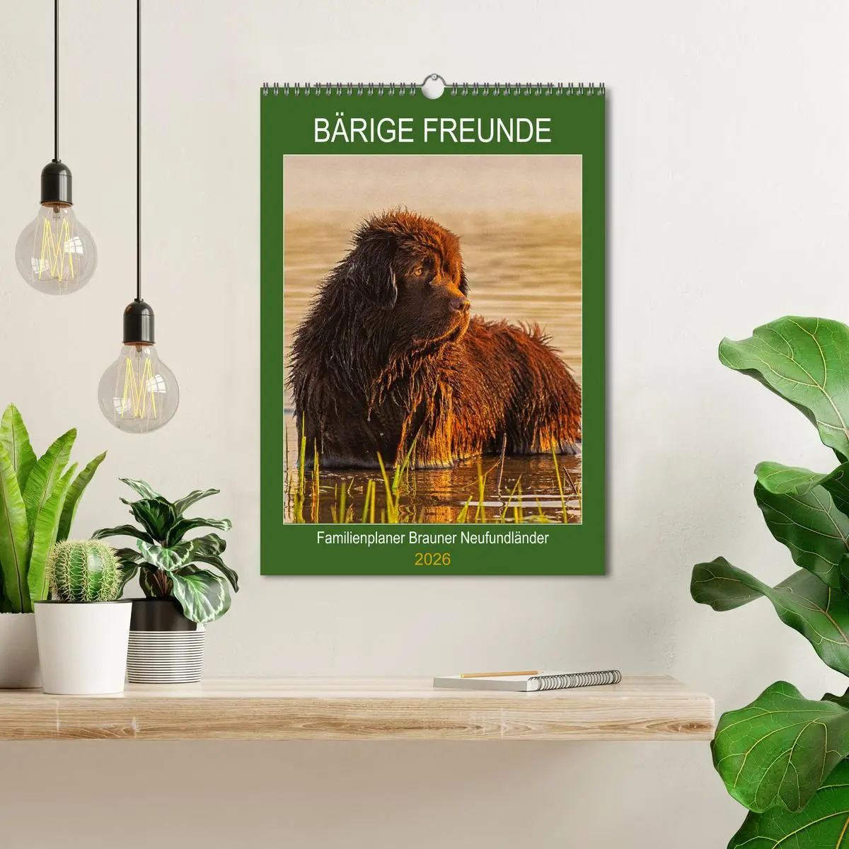 Bild: 9783516387537 | Bärige Freunde - Familienplaner Brauner Neufundländer (Wandkalender...