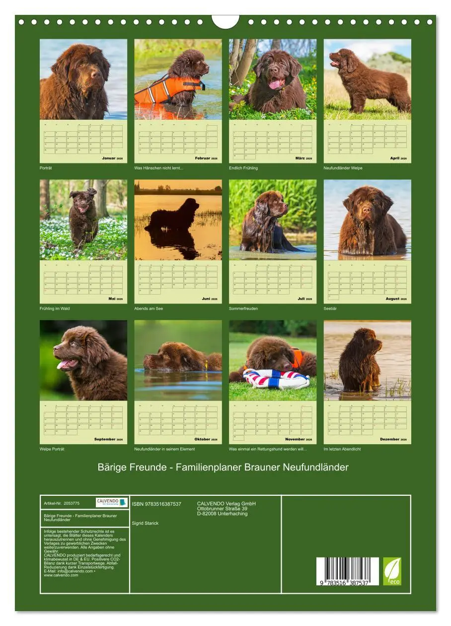 Bild: 9783516387537 | Bärige Freunde - Familienplaner Brauner Neufundländer (Wandkalender...