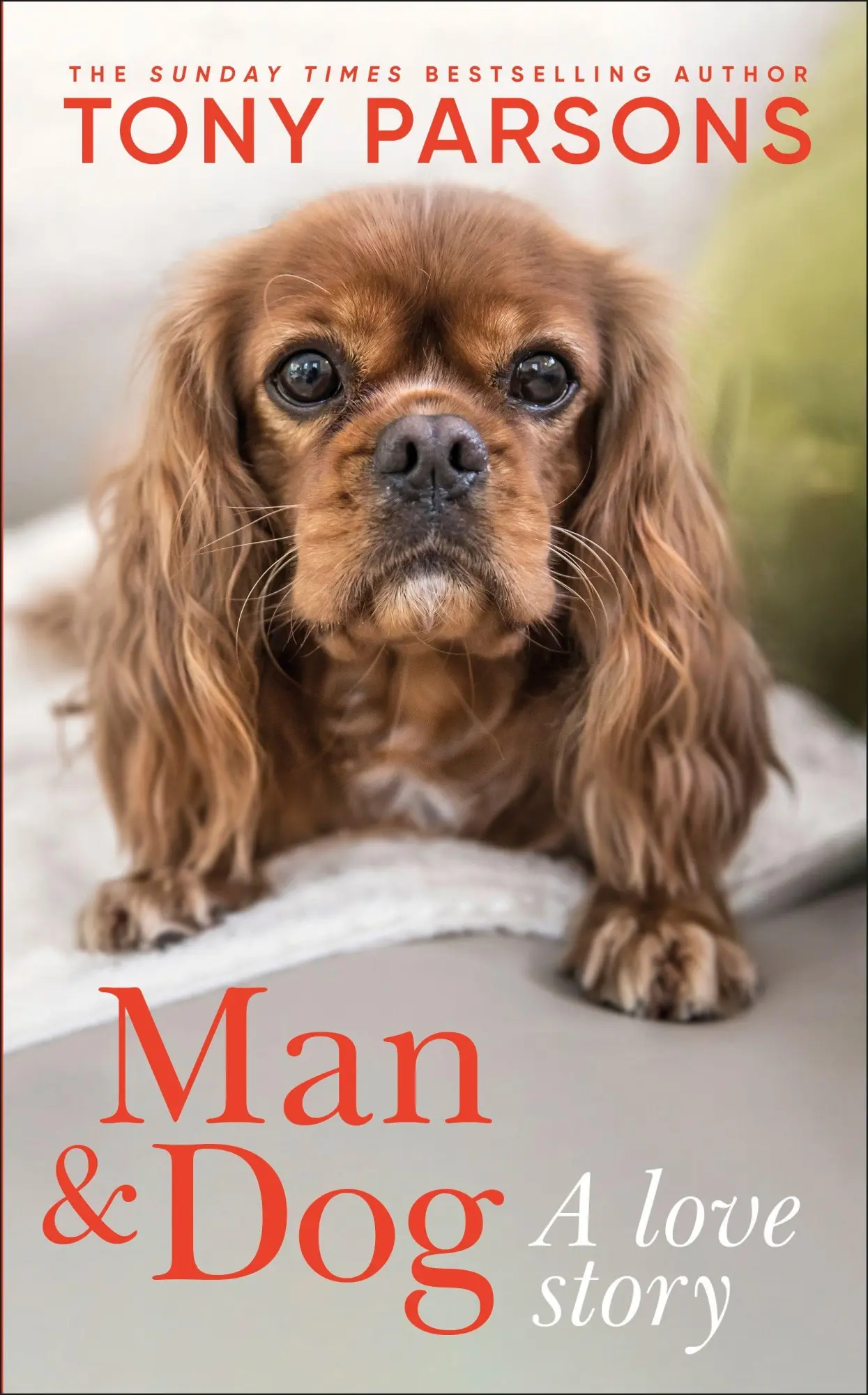 Cover: 9780241807637 | Man &amp; Dog | A Love Story | Tony Parsons | Taschenbuch | DK RED | 2026