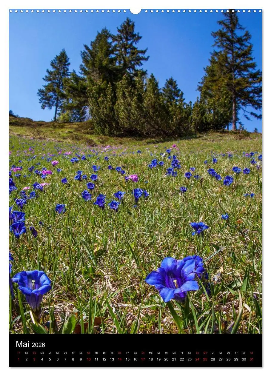 Bild: 9783516447637 | Bergblicke - Mittenwald (Wandkalender 2026 DIN A2 hoch), CALVENDO...