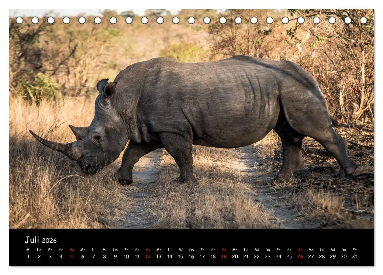 Bild: 9783516057737 | Tier-Momente in Afrika (Tischkalender 2026 DIN A5 quer), CALVENDO...