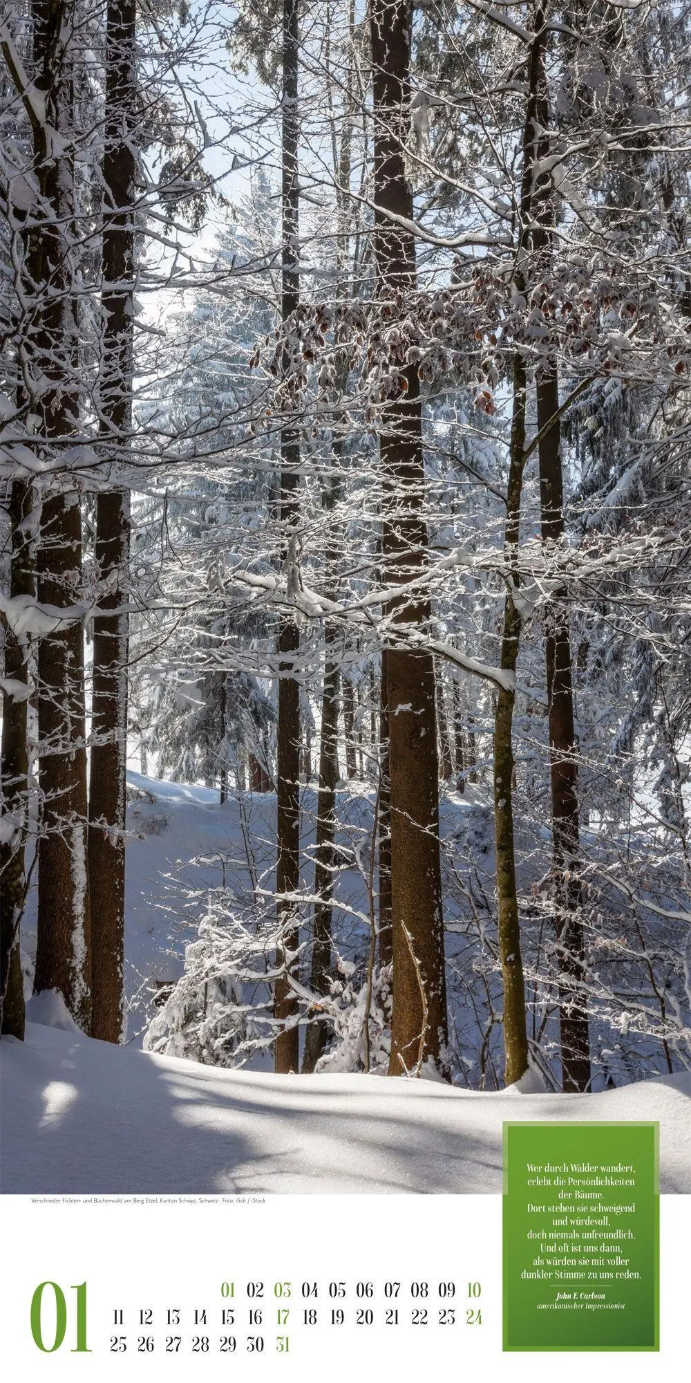 Bild: 9783838427737 | Mythos Wald Literatur-Kalender 2027 | Ackermann Kunstverlag GmbH