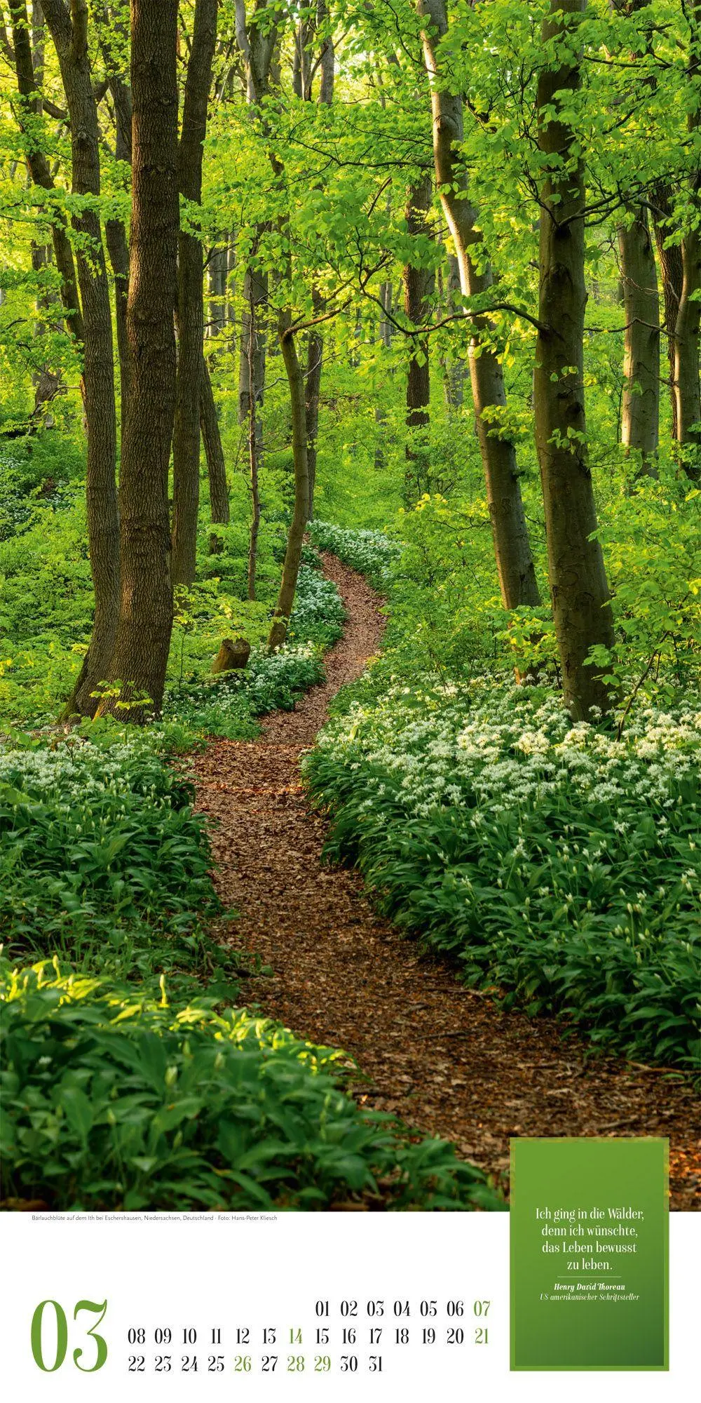 Bild: 9783838427737 | Mythos Wald Literatur-Kalender 2027 | Ackermann Kunstverlag GmbH