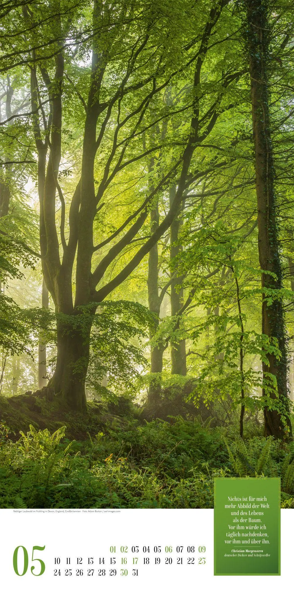 Bild: 9783838427737 | Mythos Wald Literatur-Kalender 2027 | Ackermann Kunstverlag GmbH