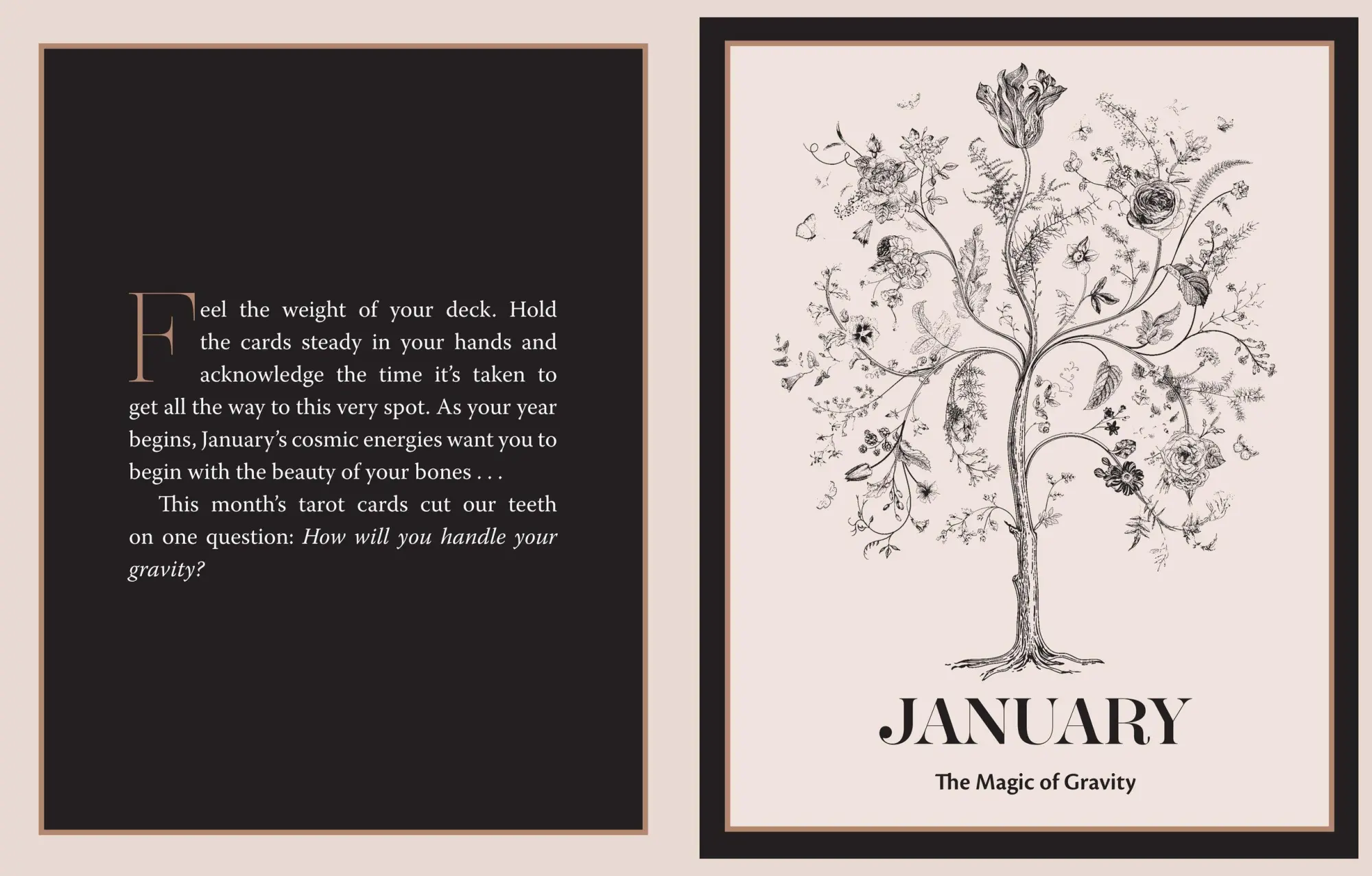Bild: 9781454947837 | The Tarot Almanac | A Seasonal Guide to Divining with Your Cards