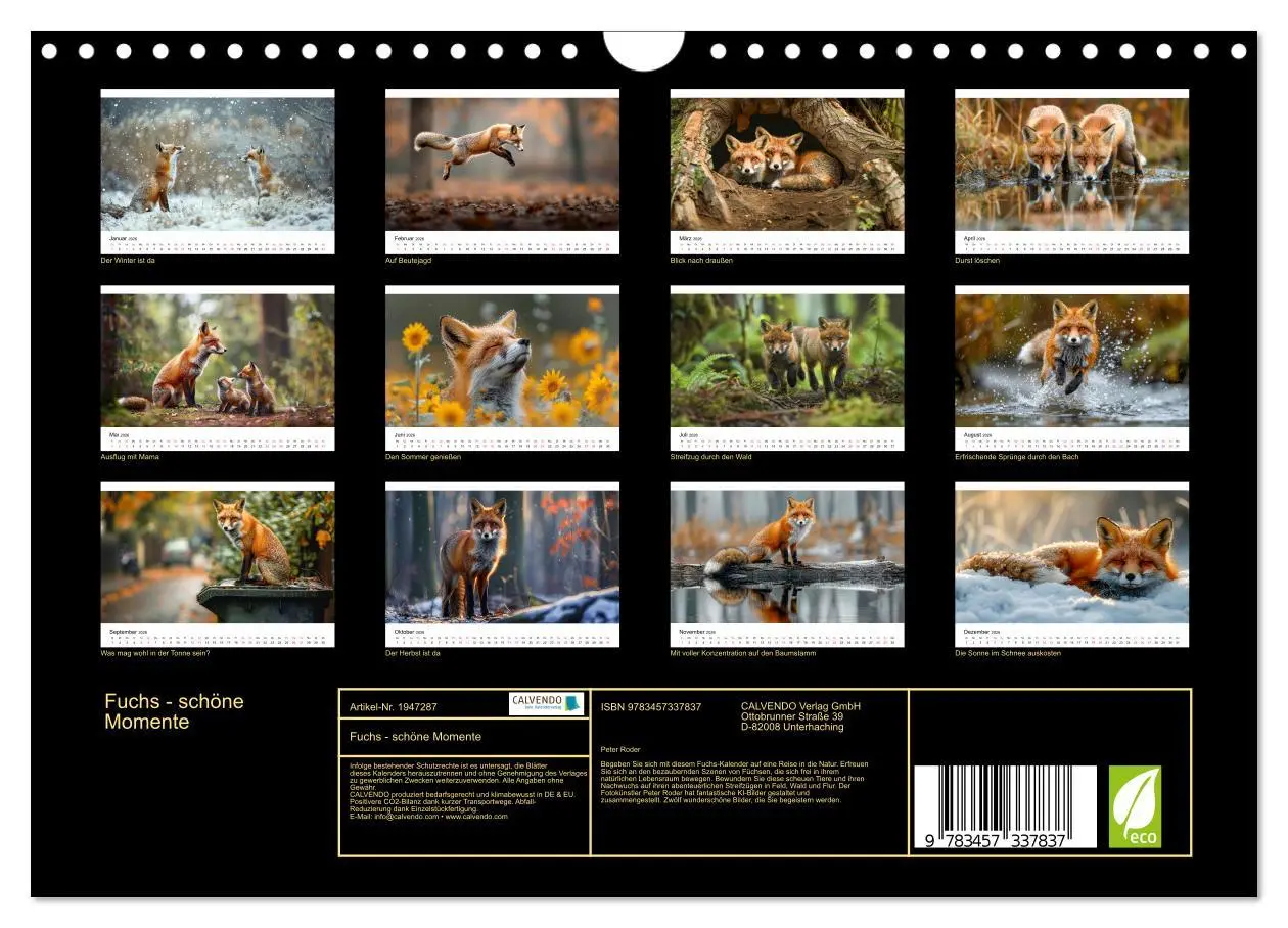 Bild: 9783457337837 | Fuchs - schöne Momente (Wandkalender 2026 DIN A4 quer), CALVENDO...