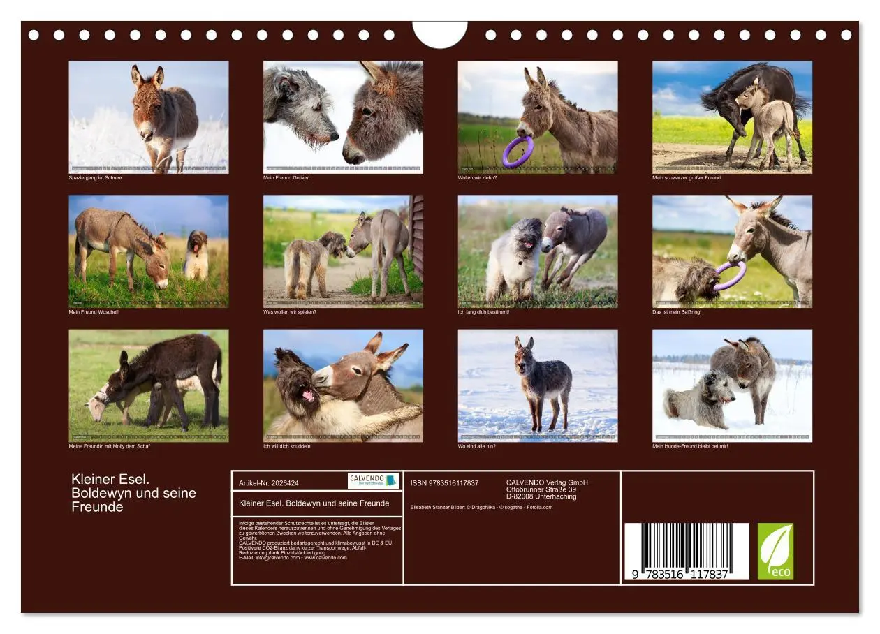 Bild: 9783516117837 | Kleiner Esel. Boldewyn und seine Freunde (Wandkalender 2026 DIN A4...