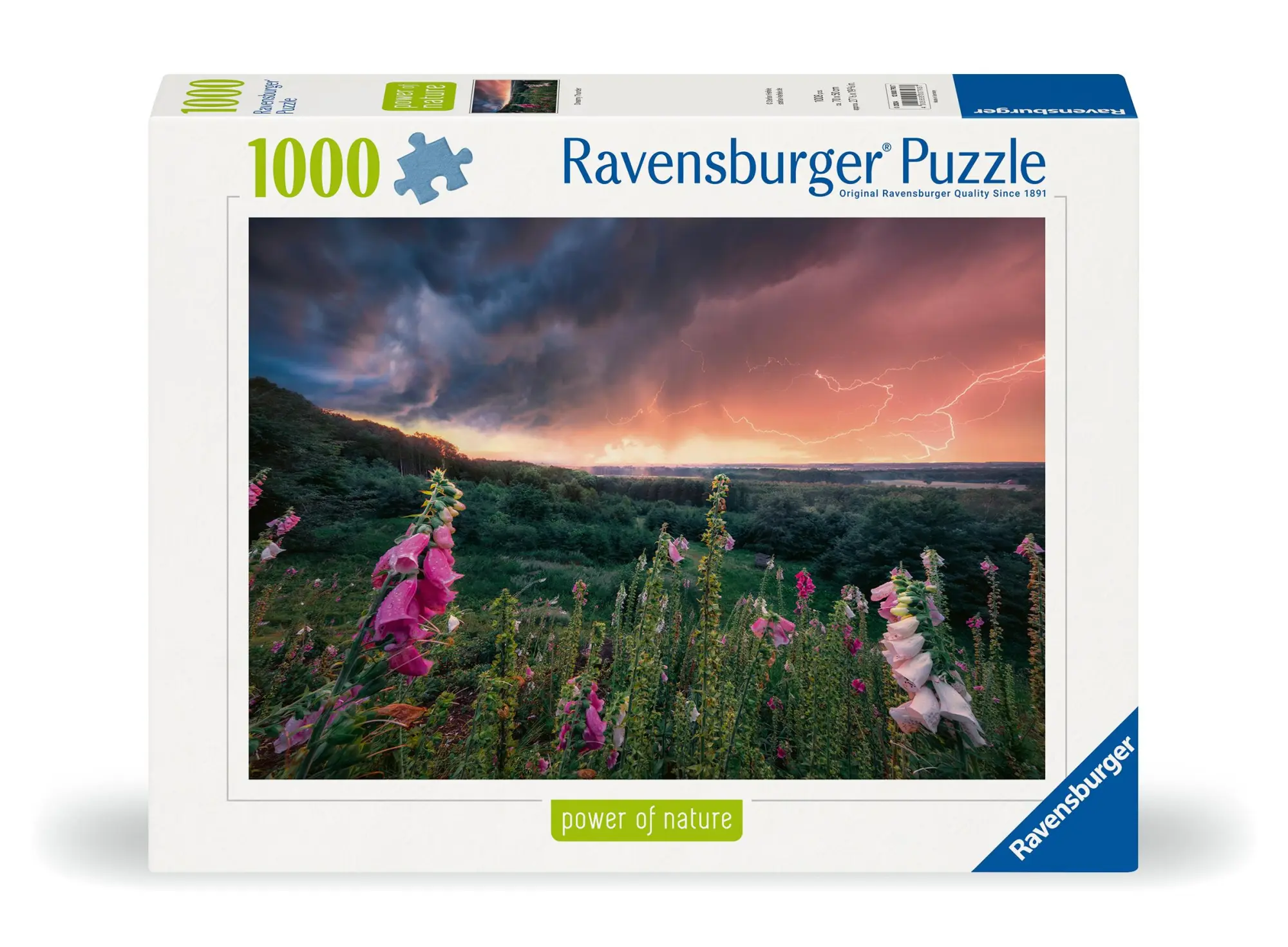 Cover: 4005555007937 | Erwachsenenpuzzle 1000 Teile - Ein Sturm zieht auf | Spiel | 12000793
