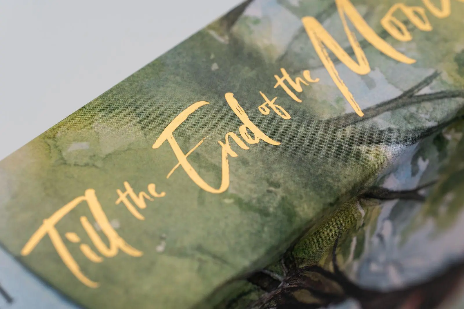 Bild: 9783426567937 | Till the End of the Moon 2 | Teng Luo Wei Zhi (u. a.) | Buch | 480 S.