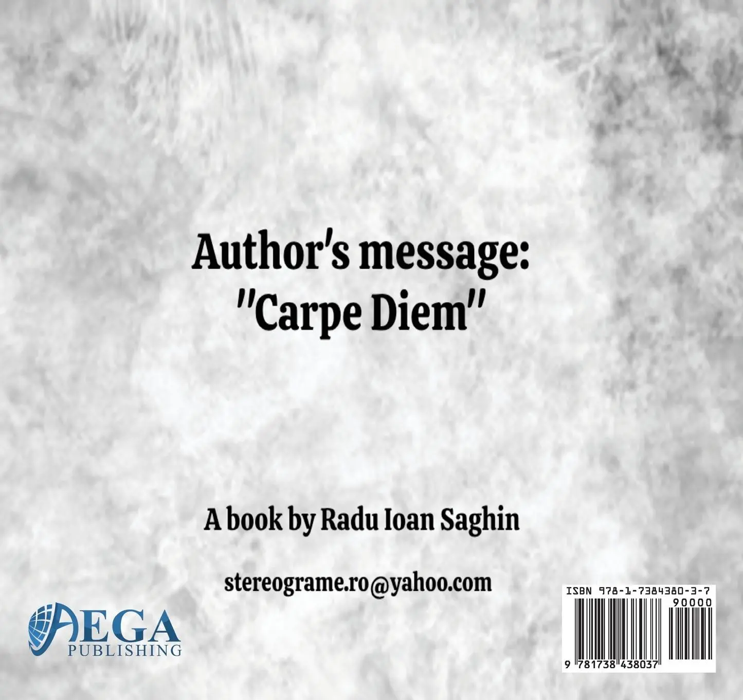 Rückseite: 9781738438037 | Stereograms | Dirty minds | Radu Ioan Saghin | Taschenbuch | Englisch