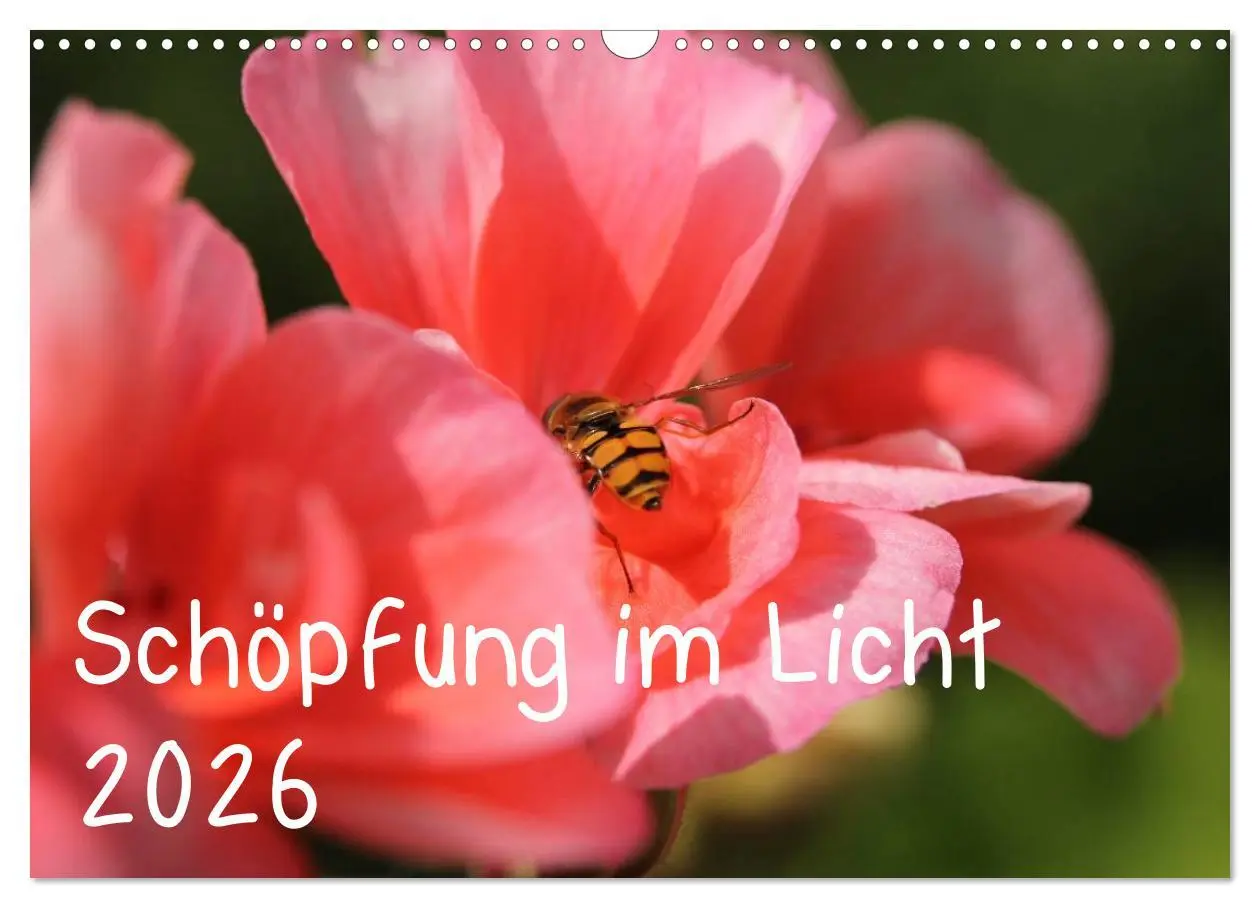 Cover: 9783516168037 | Schöpfung im Licht (Wandkalender 2026 DIN A3 quer), CALVENDO...