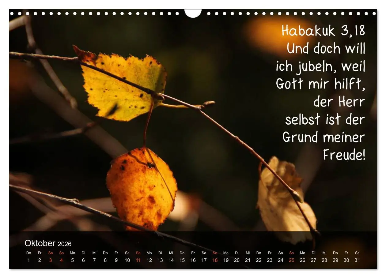 Bild: 9783516168037 | Schöpfung im Licht (Wandkalender 2026 DIN A3 quer), CALVENDO...