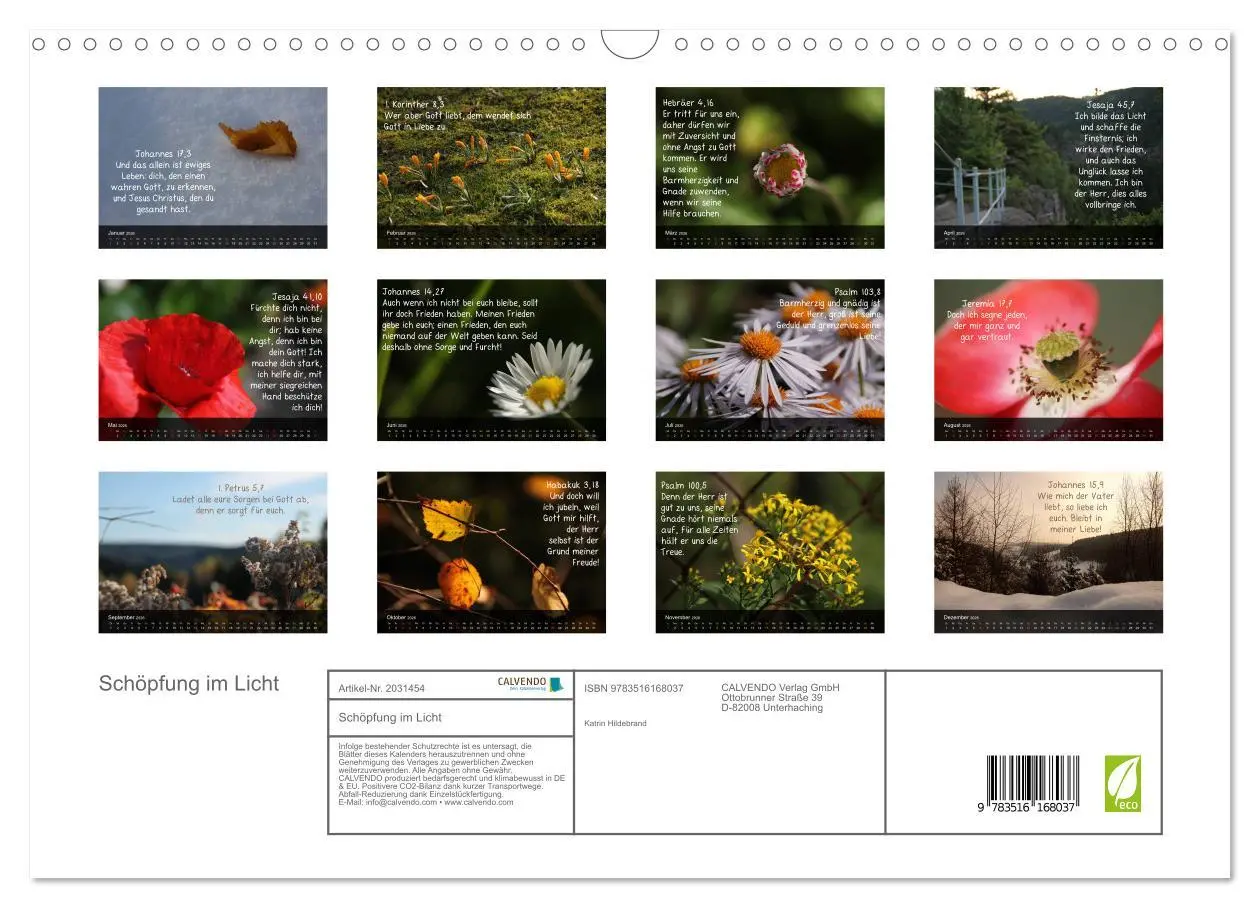 Bild: 9783516168037 | Schöpfung im Licht (Wandkalender 2026 DIN A3 quer), CALVENDO...