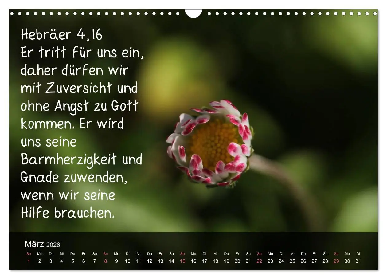 Bild: 9783516168037 | Schöpfung im Licht (Wandkalender 2026 DIN A3 quer), CALVENDO...