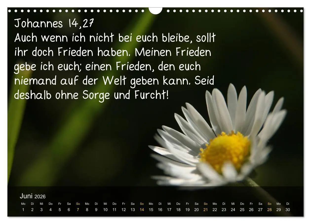 Bild: 9783516168037 | Schöpfung im Licht (Wandkalender 2026 DIN A3 quer), CALVENDO...