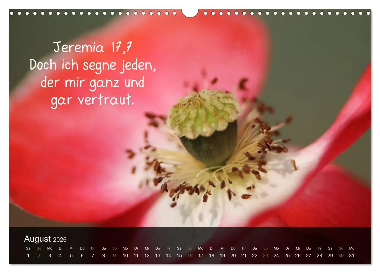 Bild: 9783516168037 | Schöpfung im Licht (Wandkalender 2026 DIN A3 quer), CALVENDO...