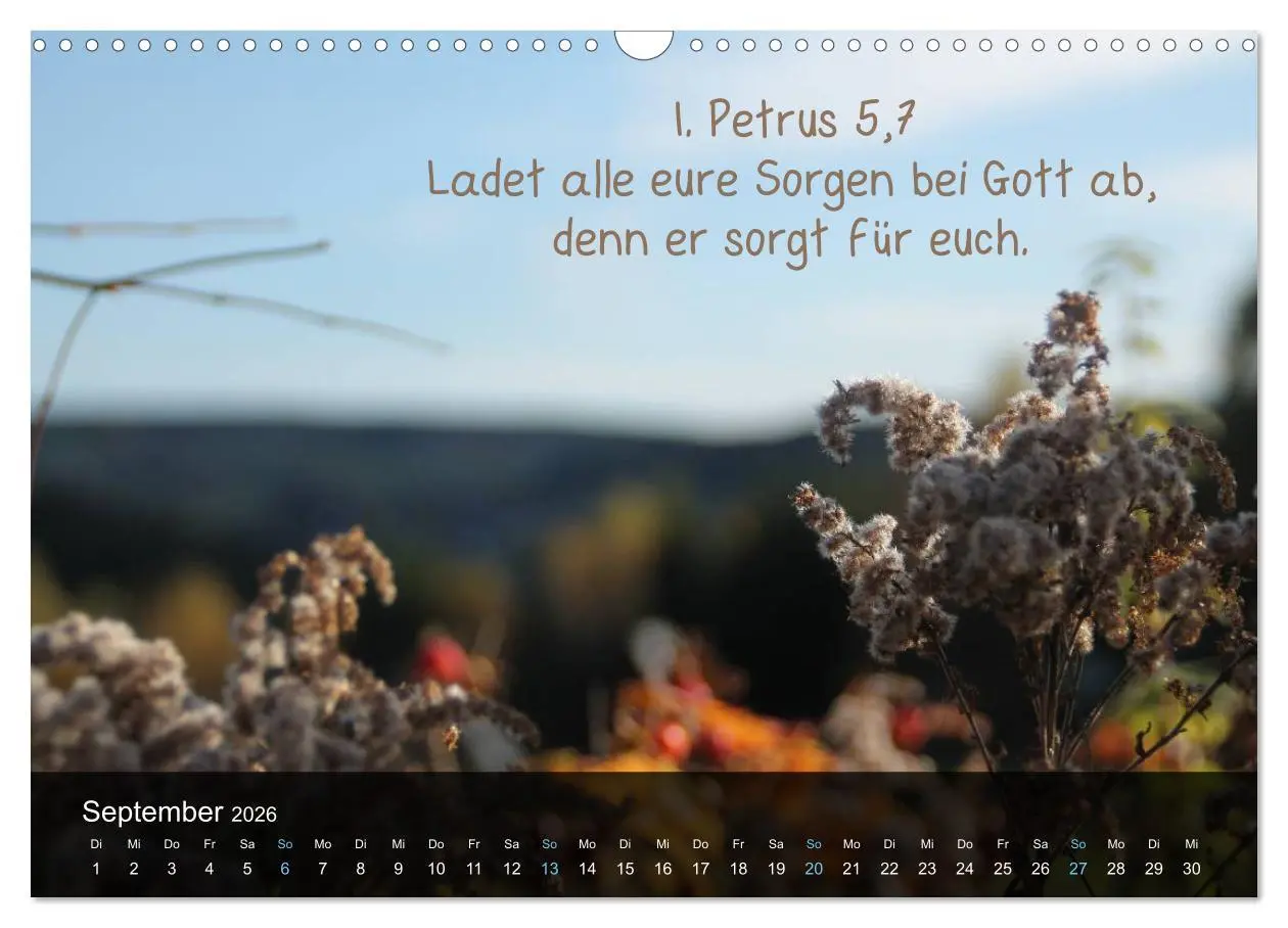 Bild: 9783516168037 | Schöpfung im Licht (Wandkalender 2026 DIN A3 quer), CALVENDO...