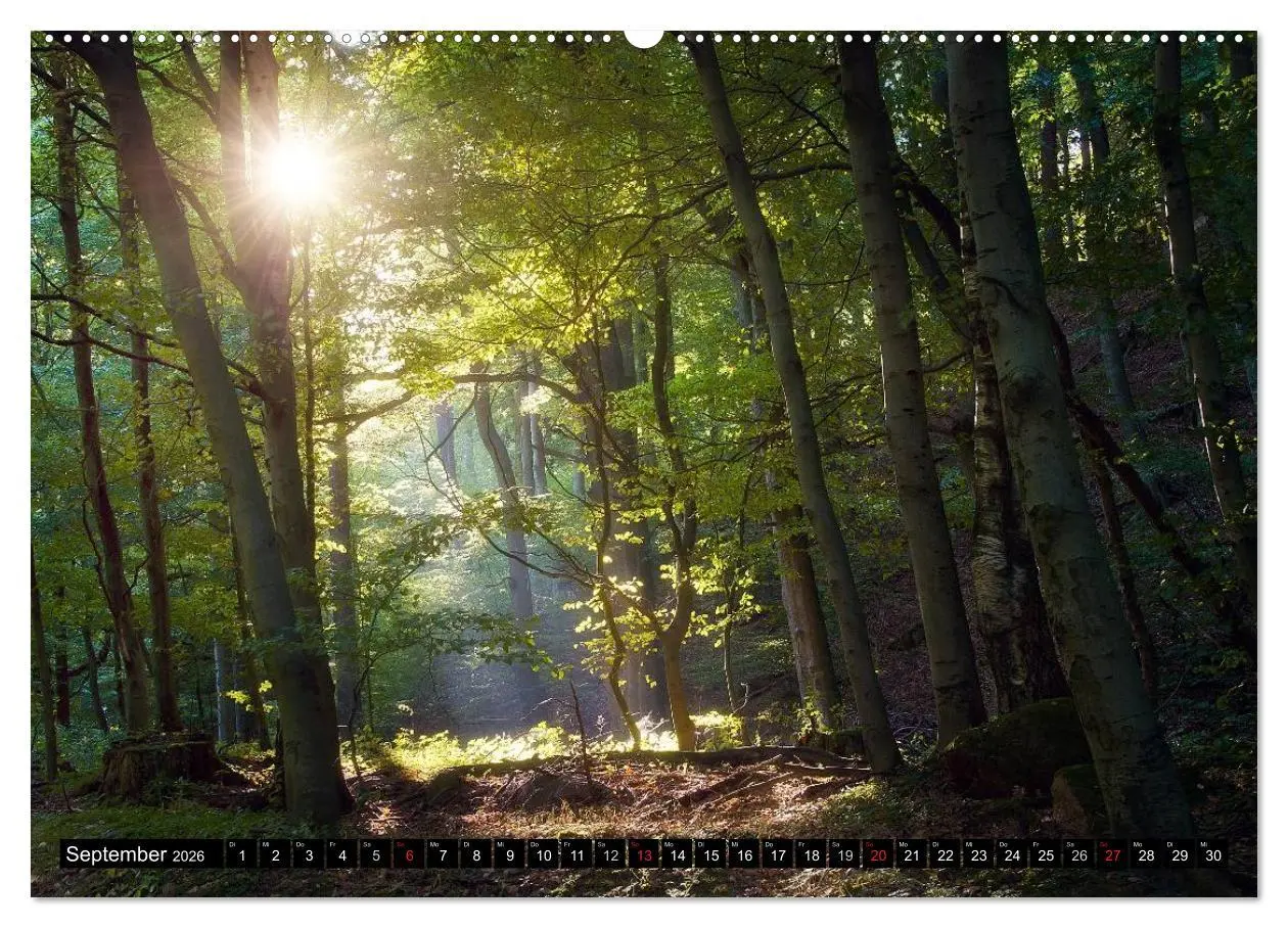 Bild: 9783516088137 | Zauberhafter Harz (Wandkalender 2026 DIN A2 quer), CALVENDO...