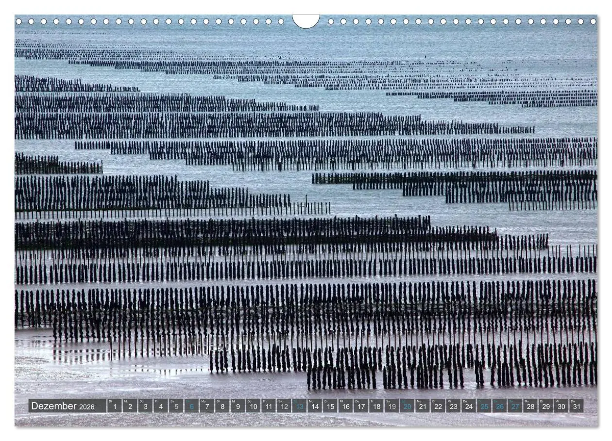Bild: 9783516158137 | Farben der Bretagne (Wandkalender 2026 DIN A3 quer), CALVENDO...