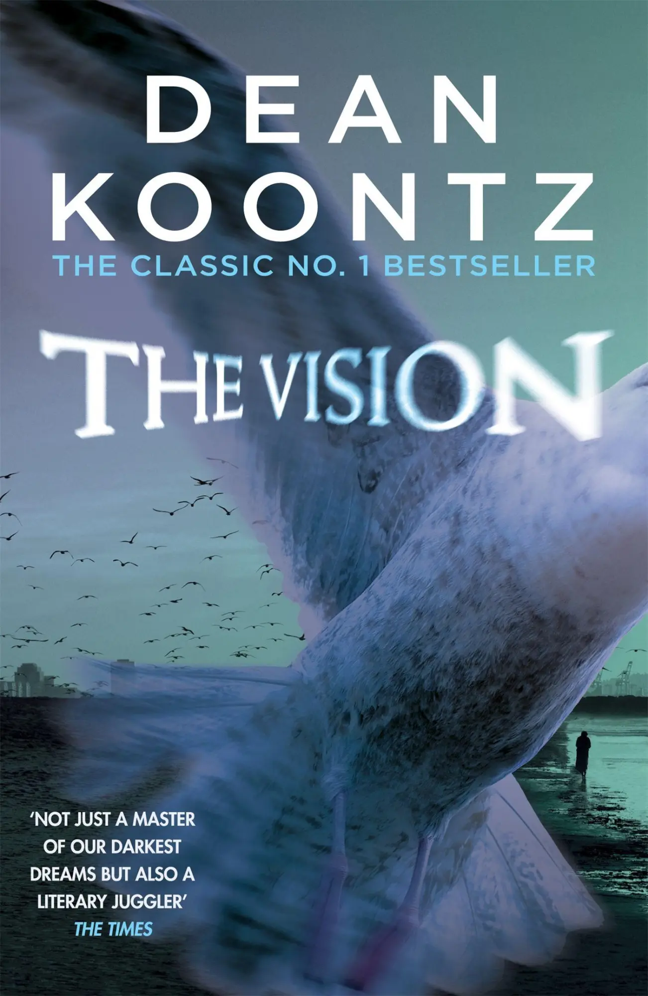 Cover: 9781472248237 | The Vision | A gripping thriller of spine-tingling suspense | Koontz